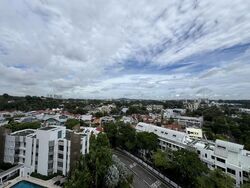 The Orange Grove (D10), Condominium #576831001